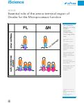 Cover page: Essential role of the amino-terminal region of Drosha for the Microprocessor function.