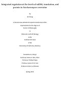 Cover page: Integrated regulation at the levels of mRNA, translation, and protein in Saccharomyces cerevisiae