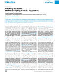 Cover page: Breaking the Rules: Protein Sculpting in NEIL2 Regulation