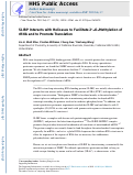 Cover page: SLIRP Interacts with Helicases to Facilitate 2-O-Methylation of rRNA and to Promote Translation.