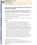 Cover page: Elastic modulus and collagen organization of the rabbit cornea: Epithelium to endothelium