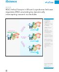 Cover page: RQC helical hairpin in Bloom's syndrome helicase regulates DNA unwinding by dynamically intercepting nascent nucleotides