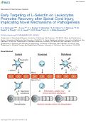 Cover page: Early Targeting of L-Selectin on Leukocytes Promotes Recovery after Spinal Cord Injury, Implicating Novel Mechanisms of Pathogenesis.