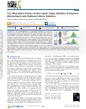 Cover page: CO2 Absorption Process at the Liquid–Vapor Interface of Aqueous Monoethanol and Diethanol Amine Solutions