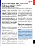 Cover page: Molecular determinants of Hv1 proton channel inhibition by guanidine derivatives