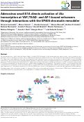 Cover page: Adenovirus small E1A directs activation of Alu transcription at YAP/TEAD- and AP-1-bound enhancers through interactions with the EP400 chromatin remodeler.