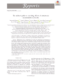 Cover page: The indirect paths to cascading effects of extinctions in mutualistic networks