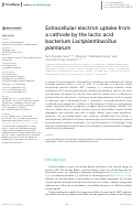 Cover page: Extracellular electron uptake from a cathode by the lactic acid bacterium Lactiplantibacillus plantarum.