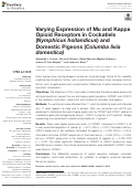 Cover page: Varying Expression of Mu and Kappa Opioid Receptors in Cockatiels (Nymphicus hollandicus) and Domestic Pigeons (Columba livia domestica)