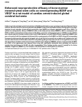 Cover page: Enhanced neuroprotective efficacy of bone marrow mesenchymal stem cells co-overexpressing BDNF and VEGF in a rat model of cardiac arrest-induced global cerebral ischemia