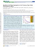 Cover page: Beneficial CuO Phase Segregation in the Ternary p‑Type Oxide Photocathode CuBi2O4