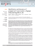 Cover page: Identification and dynamics of polyglycine II nanocrystals in Argiope trifasciata flagelliform silk