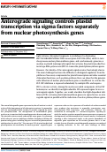 Cover page: Anterograde signaling controls plastid transcription via sigma factors separately from nuclear photosynthesis genes