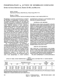 Cover page: Phospholipase A2 Action on Membrane Surfaces Effect of Ionic Strength, Triton X-100, and Melittin