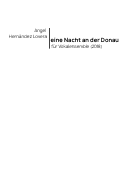 Cover page: eine nacht an der Donau