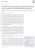 Cover page of The WalRK two-component system in <i>Streptococcus pneumoniae</i> ensures robustness of secondary wall polymer attachment.