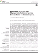 Cover page: Population Structure and Phylogenetic Relationships in a Diverse Panel of <i>Brassica rapa</i> L.