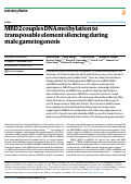 Cover page of MBD2 couples DNA methylation to transposable element silencing during male gametogenesis.