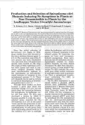 Cover page: Production and Selection of Spiroplasma citri Mutants Inducing No Symptoms in Plants or Non-Transmissible to Plants by the Leafhopper Vector Circulifer haematoceps