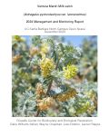 Cover page of Ventura Marsh Milk-vetch&nbsp;<em>(Astragalus pycnostachyus</em> var. <em>lanosissimus)</em>&nbsp;2024 Management and Monitoring Report