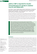 Cover page: p300 or CBP is required for insulin-stimulated glucose uptake in skeletal muscle and adipocytes