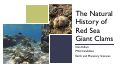 Cover page of The Natural History of Red Sea Giant Clams