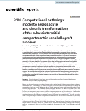 Cover page: Computational pathology model to assess acute and chronic transformations of the tubulointerstitial compartment in renal allograft biopsies.