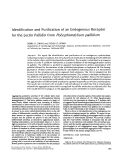 Cover page: Identification and purification of an endogenous receptor for the lectin pallidin from Polysphondylium pallidum.