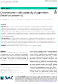 Cover page: Chromosome-scale assembly of apple mint (Mentha suaveolens).
