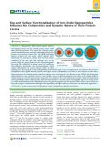 Cover page: Size and Surface Functionalization of Iron Oxide Nanoparticles Influence the Composition and Dynamic Nature of Their Protein Corona