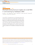 Cover page: Structural and biochemical insights into small RNA 3′ end trimming by Arabidopsis SDN1