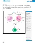 Cover page: A myeloid program associated with COVID-19 severity is decreased by therapeutic blockade of IL-6 signaling