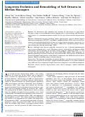 Cover page: Long-term Evolution and Remodeling of Soft Drusen in Rhesus Macaques