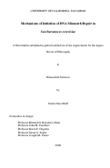 Cover page: Mechanisms of initiation of DNA mismatch repair in Saccharomyces cerevisiae