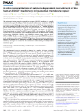 Cover page: In vitro reconstitution of calcium-dependent recruitment of the human ESCRT machinery in lysosomal membrane repair