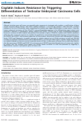 Cover page: Cisplatin Induces Resistance by Triggering Differentiation of Testicular Embryonal Carcinoma Cells