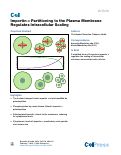 Cover page: Importin α Partitioning to the Plasma Membrane Regulates Intracellular Scaling.