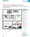 Cover page: Copy-number dosage regulates telomere maintenance and disease-associated pathways in neuroblastoma.