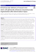 Cover page: Intramuscular delivery of neural crest stem cell spheroids enhances neuromuscular regeneration after denervation injury.