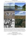 Cover page: Evading Dam-Nation: Land Use History of the Lower Cosumnes River Watershed, ca. 1820-2016