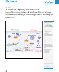 Cover page: A novel NF2 splicing mutant causes neurofibromatosis type 2 via liquid-liquid phase separation with large tumor suppressor and Hippo pathway