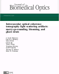 Cover page: Intravascular optical coherence tomography light scattering artifacts: merry-go-rounding, blooming, and ghost struts