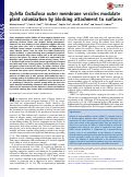 Cover page: Xylella fastidiosa outer membrane vesicles modulate plant colonization by blocking attachment to surfaces