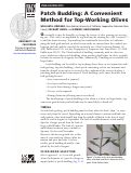 Cover page: Patch Budding: A Convenient Method for Top-Working Olives