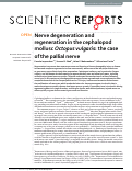 Cover page: Nerve degeneration and regeneration in the cephalopod mollusc Octopus vulgaris: the case of the pallial nerve
