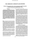 Cover page: Molecular Characterization of Two Triticum speltoides Interstitial Translocations Carrying Leaf Rust and Greenbug Resistance Genes