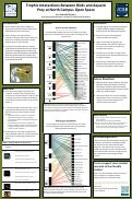 Cover page of Trophic Interactions Between Birds and Aquatic Prey at North Campus Open Space