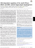 Cover page: CRL5-dependent regulation of the small GTPases ARL4C and ARF6 controls hippocampal morphogenesis