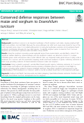 Cover page: Conserved defense responses between maize and sorghum to Exserohilum turcicum