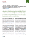 Cover page: The PI3K Pathway in Human Disease